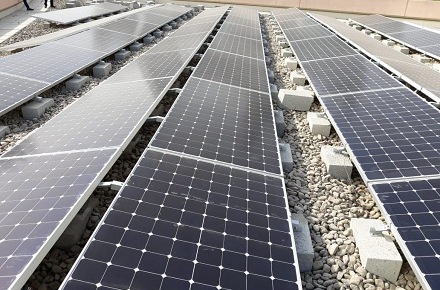 Солнечная ферма на миллион делает Университет Квинсленда полностью возобновляемым источником энергии
